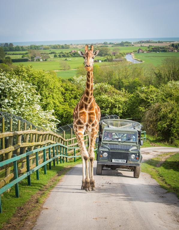 Port Lympne Mansion Hotel Exterior foto
